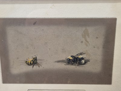 Lot 292 - Attributed to Archibald Thorburn (1860-1935),...