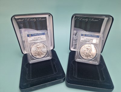 Lot 440 - Two Danbury Mint cased 2021 eagle-type 1...