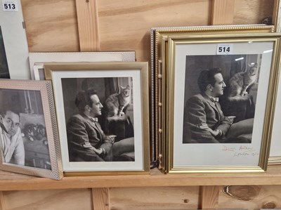 Lot 514 - Eleven framed photographs of Sandy Wilson