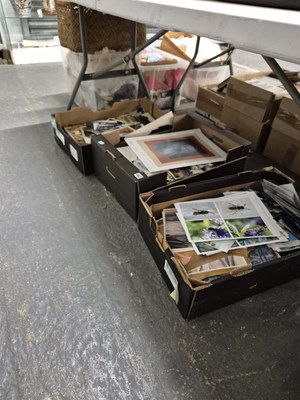 Lot 1807 - A large collection of photographs and...