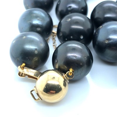 Lot 13 - A graduated row of Tahitian iridescent...