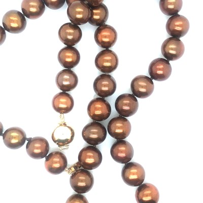 Lot 38 - A row of slightly graduated chocolate-coloured...