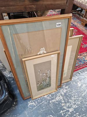Lot 1230 - A group of four botanical watercolours by...