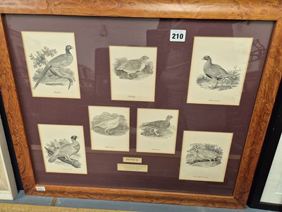 Lot 210 - A group of framed prints after Thomas Bewick.