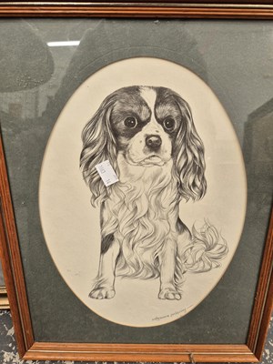 Lot 217 - Pollyanna pickering. a study of a spaniel, a...