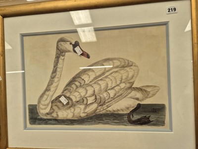 Lot 219 - Three 19th century engravings. 48 x 33 cm