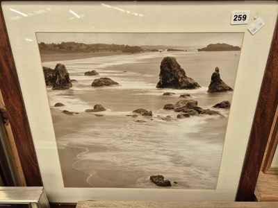 Lot 259 - A sepia tinted photograph of a shoreline and...