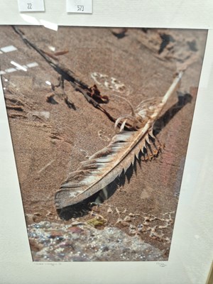 Lot 342 - Eight various contemporary photographic artworks.