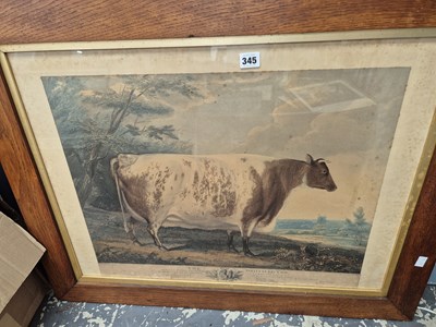 Lot 345 - A large 19th-century engraving. The Driffield...