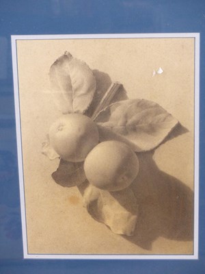 Lot 162 - A. E Jackson. (19th-century)/ Study of fruit...