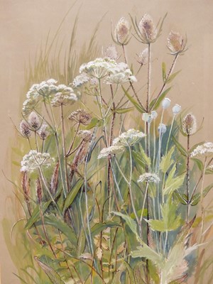 Lot 168 - Hermione Hammond. Study of thistles and...