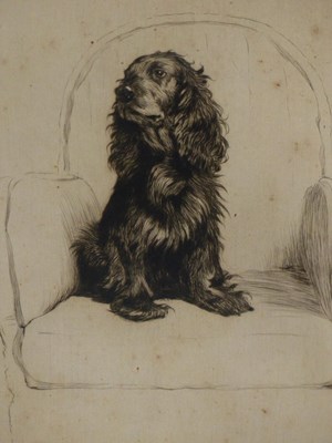 Lot 144 - Cecil Aldin (1870-1935)  Cocker spaniel in an...