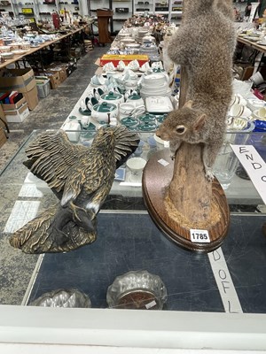 Lot 1785 - A taxidermy grey squirrel together with a...