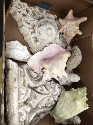 Lot 1661A - A collection of sea shells and architectural...