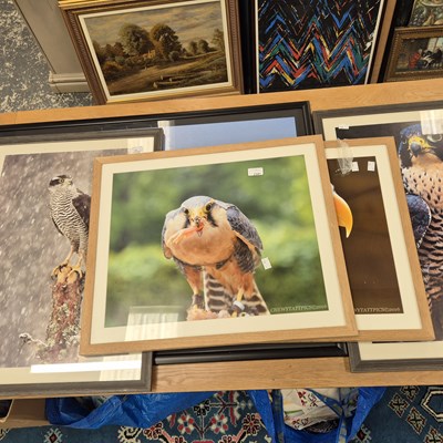 Lot 2341 - A collection of photographic artworks, birds...