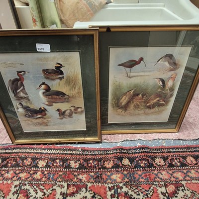 Lot 2383 - A pair of prints after Archibald Thorburn.