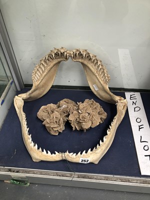 Lot 252 - An antique shark jaw with teeth and a Baryte...