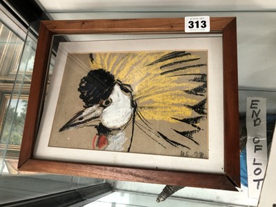 Lot 313 - Pastel study of an exotic bird's head...