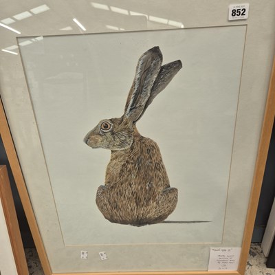 Lot 852 - Patrick Moran, watercolour & gouache. Brown hare.