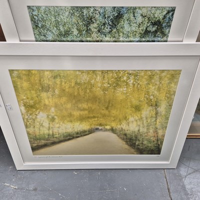 Lot 103 - Two limited edition prints by Cheryl Hamer and...