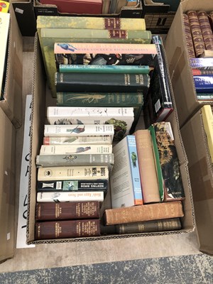 Lot 108 - Books- large quantity, mostly bird-related....