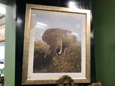 Lot 145 - A large, limited edition print of an elephant.