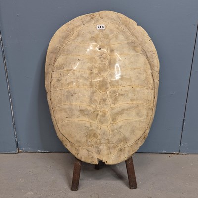 Lot 416 - A white turtle shell mounted with a wooden...
