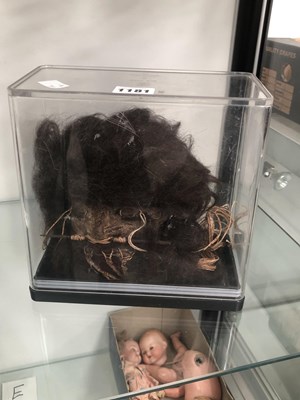 Lot 1181 - An ornamental Shrunken head