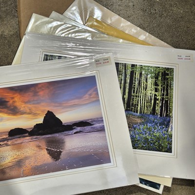 Lot 1670 - Sue Dance. a small collection of artworks, Sea...