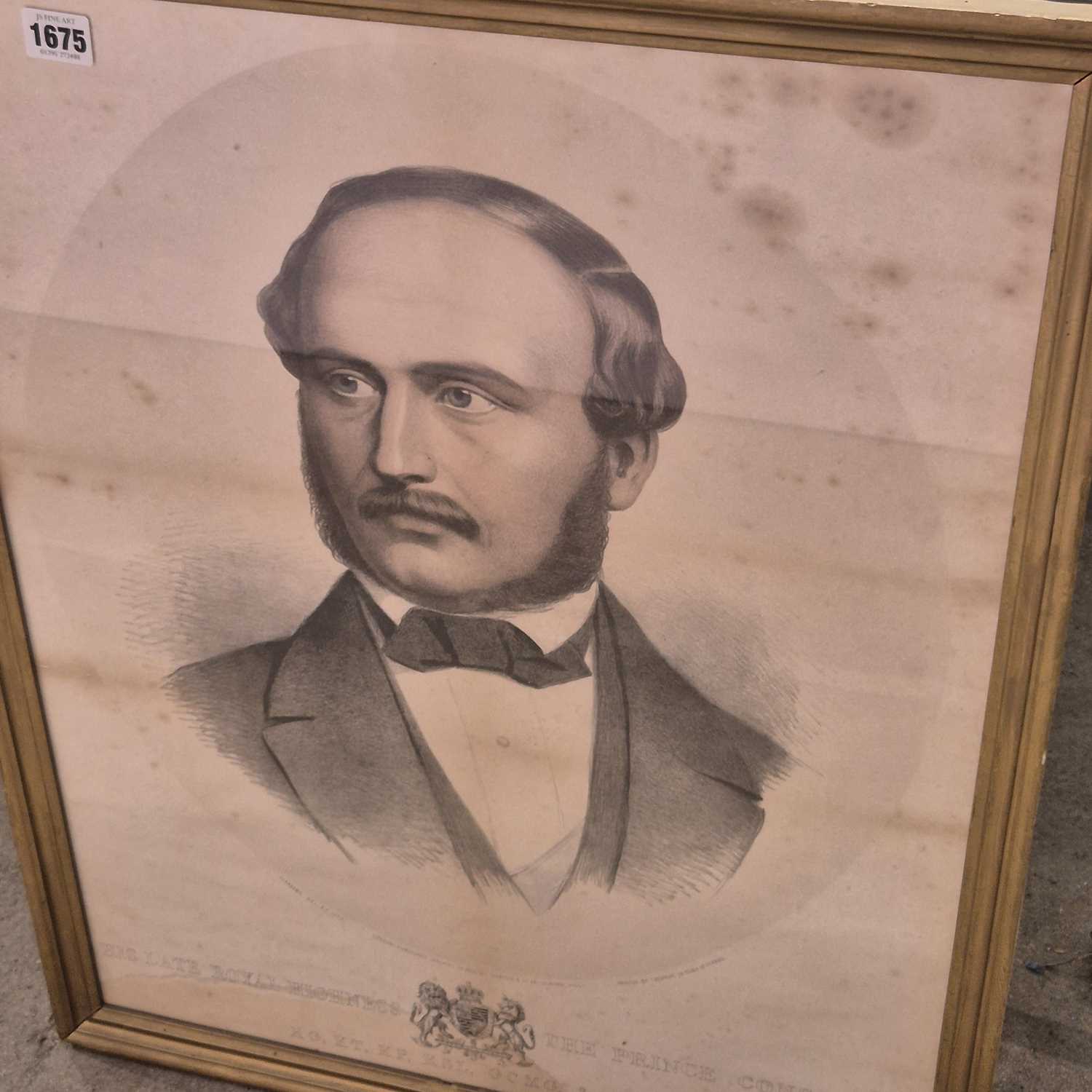Lot 1675 - A Portrait print of the Prince Consort Prince...