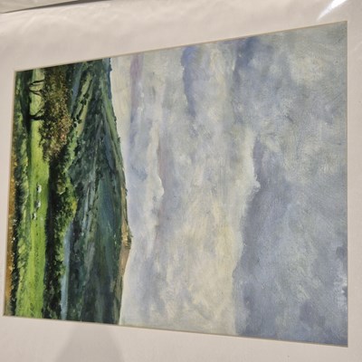Lot 1682 - Wendy Parkyn. A collection of original works,...