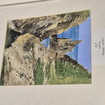 Lot 1682 - Wendy Parkyn. A collection of original works,...