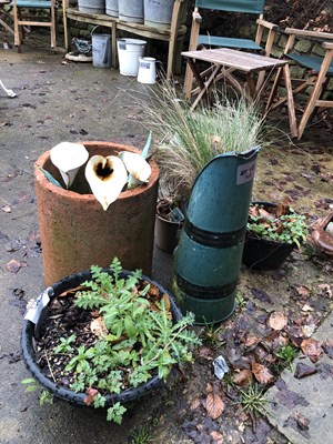 Lot 473 - A variety of plant pots (4), a chimney top,...