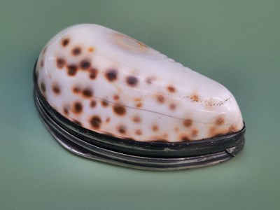 Lot 1721 - An early 19th-century silver mounted cowrie...
