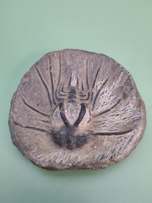 Lot 1746 - A rare, large trilobite fossil, finely...