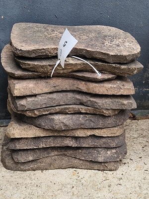 Lot 456 - A set of eleven stepping stones, each 44 × 30cm