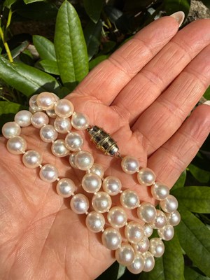 Lot 1254 - A cultured pearl necklace, the knotted strand...