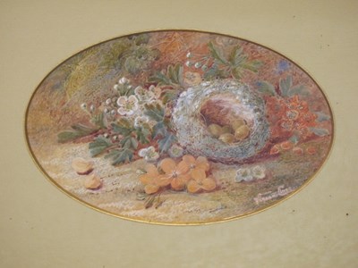 Lot 1591 - Vincent Clare (1855-1930), flowers and bird's...