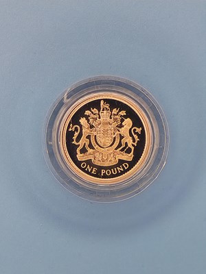Lot 2916 - Royal Mint - 1993 Silver Proof one pound coin