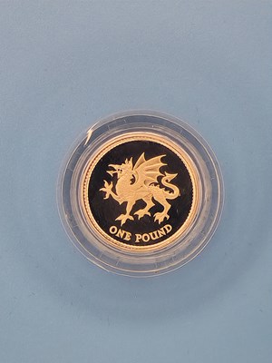 Lot 2920 - Royal Mint - 1995 Silver Proof one pound coin