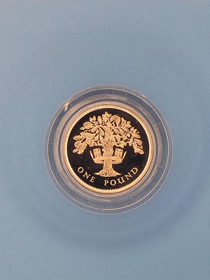 Lot 2922 - Royal Mint - 1992 Silver Proof one pound coin