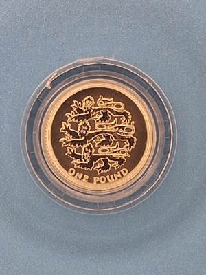 Lot 2928 - Royal Mint - 2002 Silver Proof one pound coin