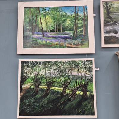 Lot 185 - Two contemporary works: a bluebell wood, oil...