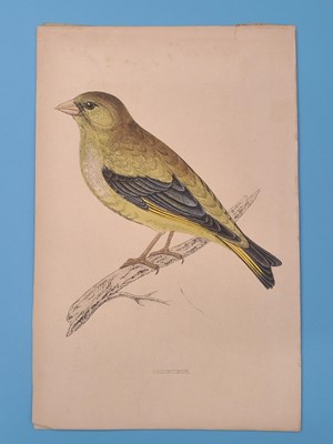 Lot 2820 - Nine various loose coloured engravings ad...