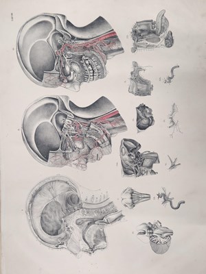Lot 2829 - 'Anatomischer Atlas des menschlichen Körpers :...