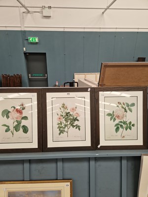 Lot 373 - Three French botanical prints of roses, each...