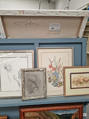 Lot 247 - Four still life studies: two pencil botanical...
