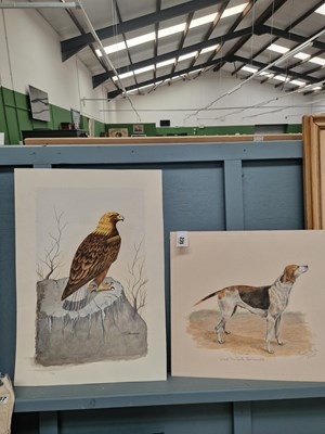 Lot 235 - Two loose original animal studies: T C W...